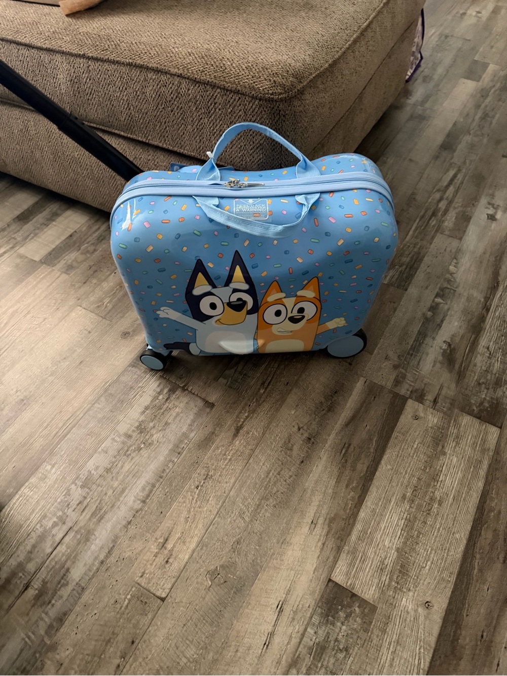 Bluey and Bingo Kids Hardside Ride-on Spinner Suitcase Luggage
